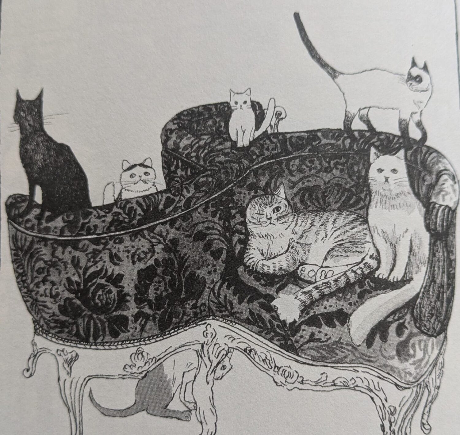 Bildrechte: © Die Katzen des Louvre / Taiyo Matsumoto / Reprodukt-Verlag